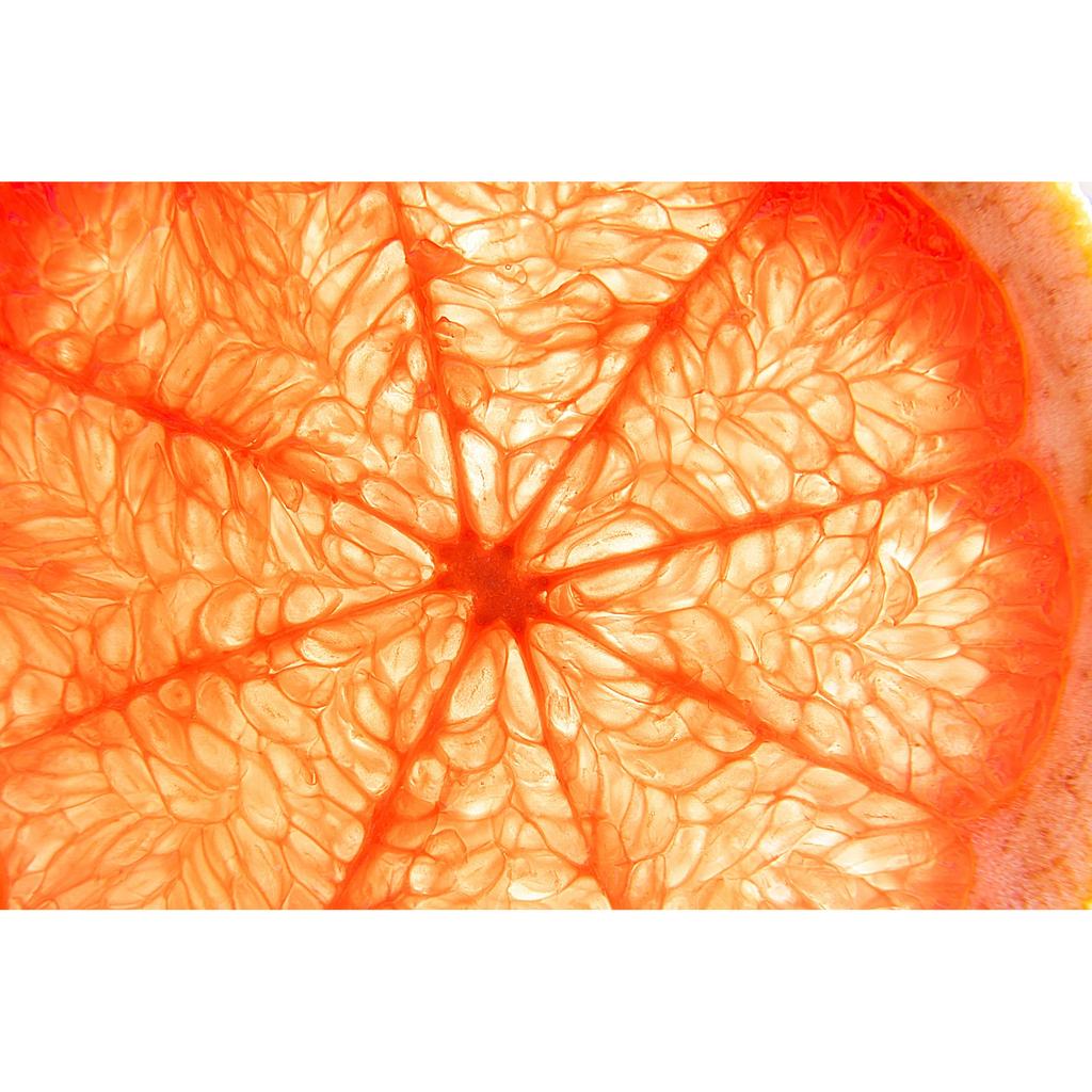 Tamron 18-300mm F3.5-6.3 Di III-A VC VXD Lens for Fujifilm X-Mount [B061X] - All-in-One Zoom Lens