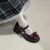 Black French Small Thick Heel High Heels Women's Summer 2025 New with Skirt Retro Light Mouth Mary Jane Single Shoes