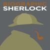 Biographic Sherlock by V Croot Hardback Book 9781781453148