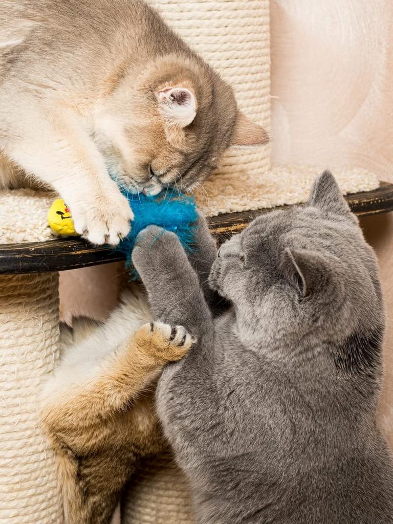 Игрушка для чистки зубов Nekomote 01 Рыбка