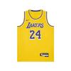 Nike Детский топ Dri Fit ICON EDITION Swingman Kids' IQ7133-728