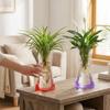 5Pcs Shatterproof Clear PVC Flower Vase Folding Plant Containers Easy To Clean Expandable Vase  Room