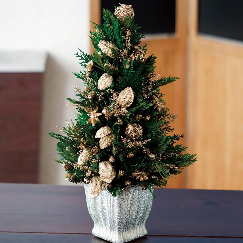 Daichi Farm сушеный цветок звездчатый анис платина примерно 35 г 3,0 см DO021020-932