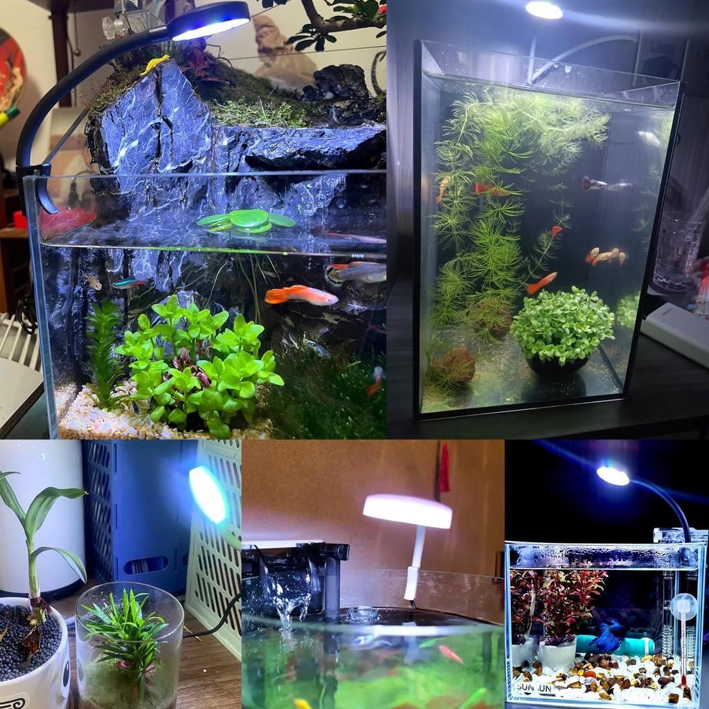 Аквариум DARETOTRY Маленький аквариум 14 4 Маленький аквариум USB 360 градусов Водное растение Заполнение Высокий Низкий Для выращивания водных растений Для выращивания тропических декоративных растений