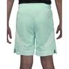 Jordan Шорты повседневные дышащие однотонные на шнуровке Dri-FIT Детские шорты светло-зеленого цвета DR8097-312