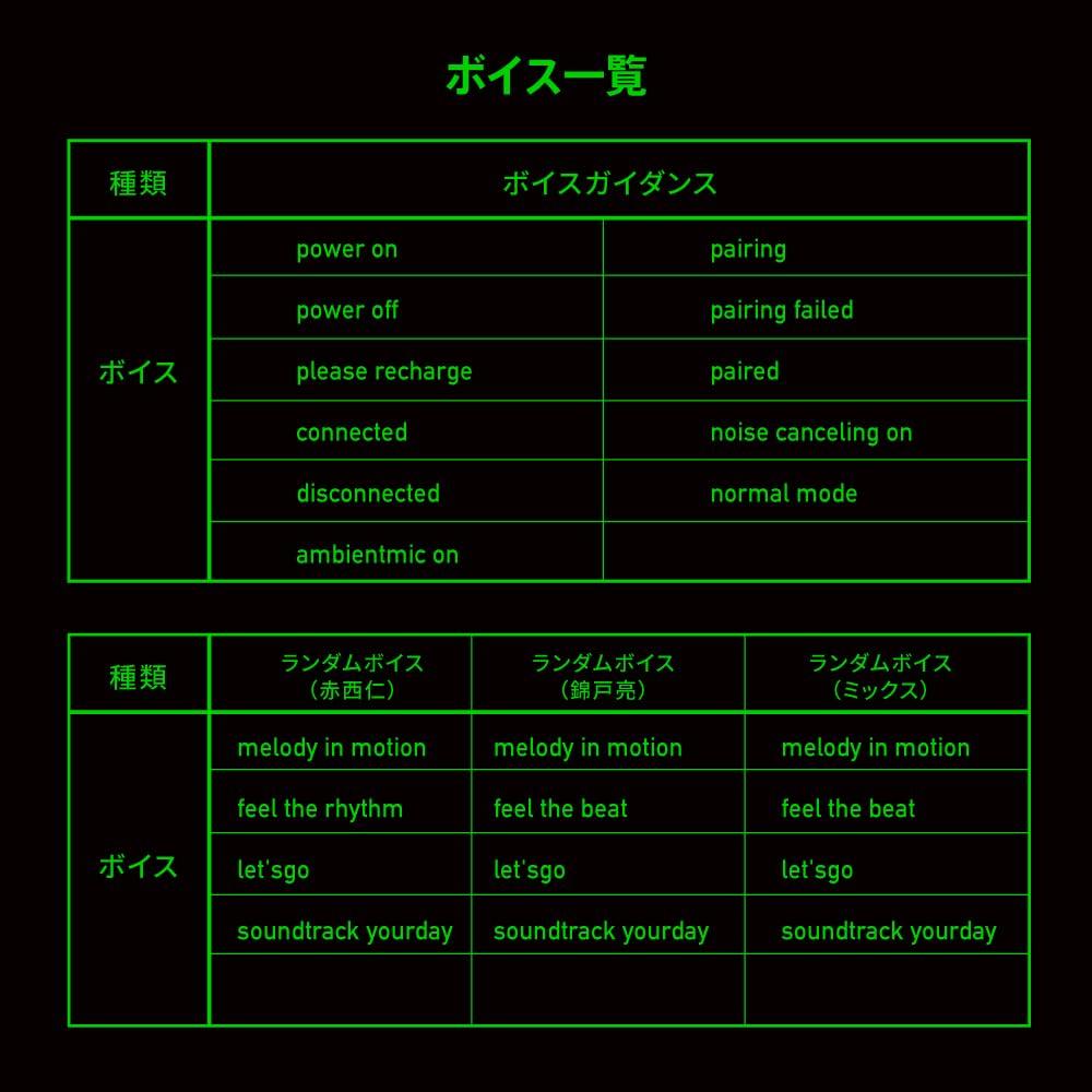 AVIOT Wireless Earphones Collaboration Features Ryo Nishikido and Jin noise up to 42 hours of ambient sound and IPX4 water TE-Q3-NA2 (N/A Model) -