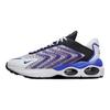 Nike Кроссовки мужские Air Max TW White Concord Racer-Blue Pure-Platinum DQ3984-105