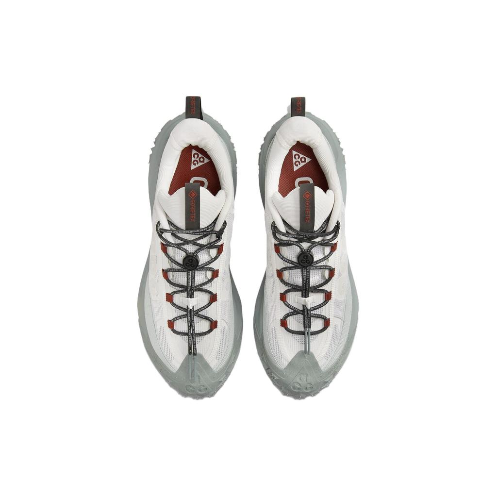 Nike ACG Mountain Fly 2 Low GORE-TEX Phantom Light Silver Unisex Sneakers Grey Mica-Green Dark-Smoke-Grey HF6245-003