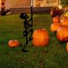 Хэллоуин Скелет Декоративный Садовый Колышек Погодоустойчивый Металл Для Улицы Патио Двор