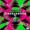 Frankenstein by Mary Shelley Paperback Book 9781035034840