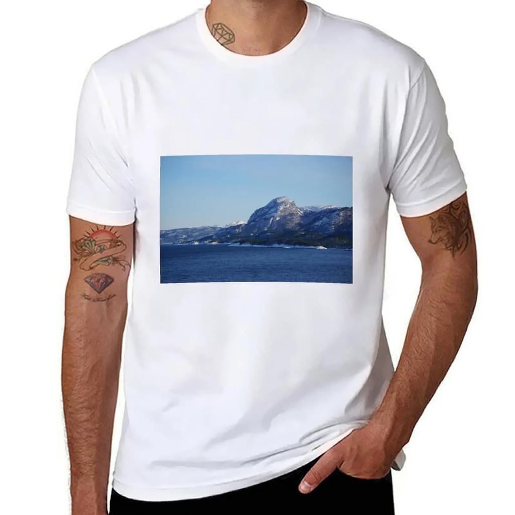 Straumsnes TShirt korean fashion summer tops animal prinfor boys oversized t shirts for men