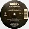 12inch Record TEDDY - Tell Me What You Want Y38500 Noo Trybe Recor 1995 US Rap & Hip-Hop/R&B Used