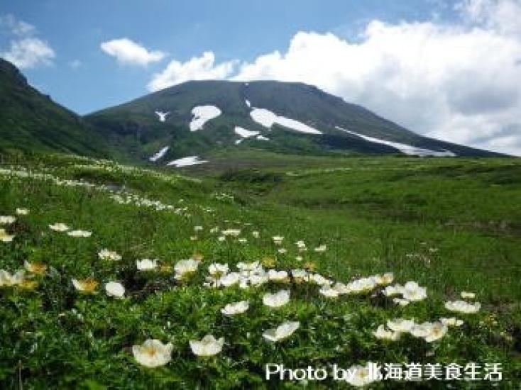 Daisetsu Water Resources Conservation Center Daisetsu Asahidake Source Water 500ml X 24 Bottles 500ml (x 24)