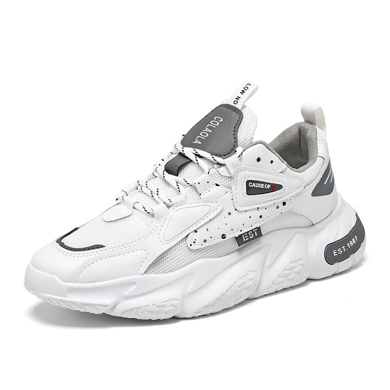Spring Men's Shoes Breathable Mesh Shoes Men's Trend All Match Small White Shoes Thick Soled Sports Casual Daddy Tide Shoes