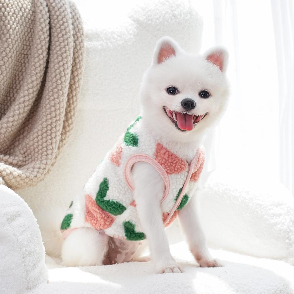 Winter Warm Dog Clothes Cute Puppy Coat Soft Plush Pet Clothes for Small Medium Dogs Chihuahua Yorkie Costume Dog Accessories