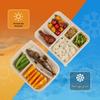 Four-Compartment Eco-Friendly Lunch Box
