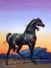 Full Round/Square 5d Diamond Painting Horse Mosaic Sunset DIY Diamond Embroidery Animal Home Decor Craft Kit