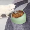 Cute Cat Dog Bowl Protect The Cervical Spine Oblique Mouth Pet Stainless Steel Fall-resistant Durable Food Bowl Pet Supplies