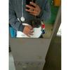 Женская модная вышитая одежда Pet Big Pocket Cat Ear Hooded Sweatshirt