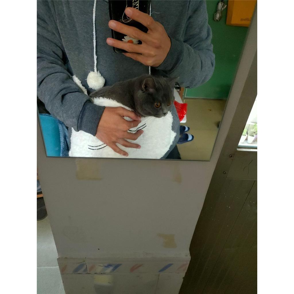 Женская модная вышитая одежда Pet Big Pocket Cat Ear Hooded Sweatshirt