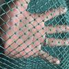 Рыболовная и птицеловная сетка из полиэтилена для рыболовного садка, курятника и в качестве перегородки
