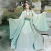 Chinese Song Dynasty Style Hanfu Women's Wear Daily Pleated Skirt Set