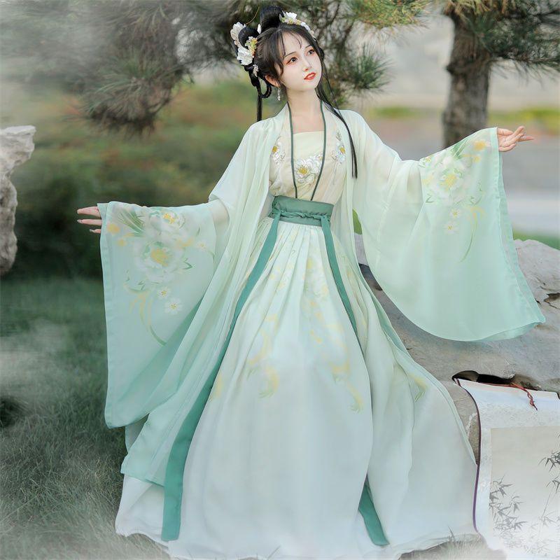 Chinese Song Dynasty Style Hanfu Women's Wear Daily Pleated Skirt Set