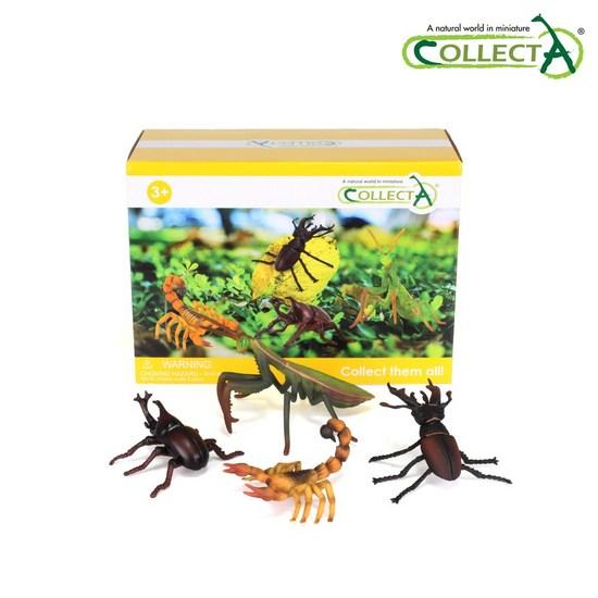 Collecta Insect Caption Box Set (4 Types) Figure Toy Model, Popular Toys In Korea