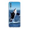 Чехол Для Samsung A54 A52 A50 A70 A40 A20S A20E A02S A12 A14 A16 A22 A24 A42 A34 A32 5G A04s A06 Косатка океан милая косатка