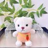 Animal Stuffed Colorful Keychain Adorable Teddy Bear Plush Toy For Kids Collectors And