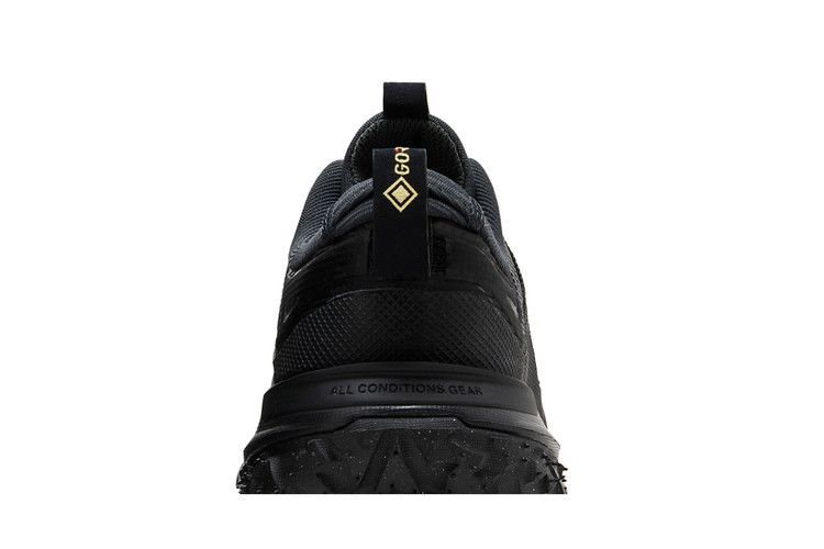 Nike ACG Mountain Fly 2 Low Темно-дымчато-серый
