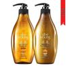 Ziyuan Ginger Root Strengthening Shampoo