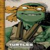 Teenage Mutant Ninja Turtles The IDW Collection Volume 7 by Tom... 9781684052820