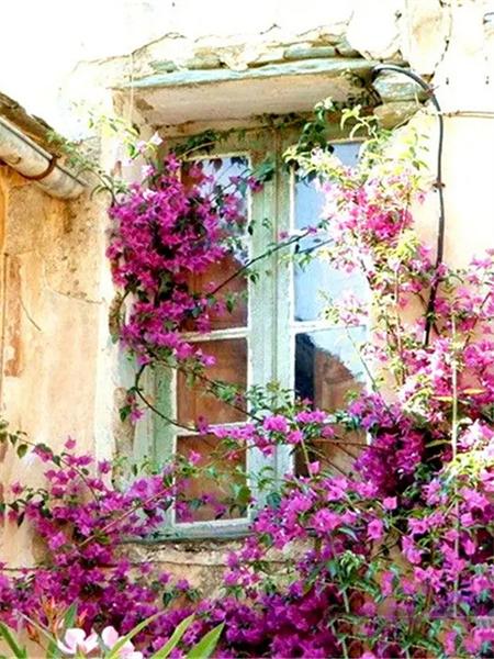 5D Алмазная Картина Новые Поступления Цветочное Окно Домашний Декор Полная Квадратная Круглая Вышивка Мозаика Пейзаж Настенное Искусство