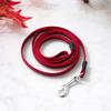 [Pet] Three-Color Leash 1.5