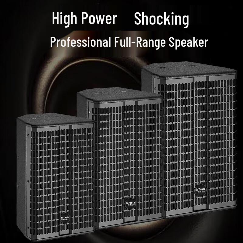 KaYouLa KYL-210 10-inch Passive Full-Range Speaker