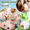 24pcs Paper Party Gift Tote Boxes with Window for Pet House Shape White Finished Product: 12x10x18cm