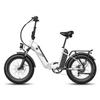 Fafrees FF20 Polar Folding All Terrain Electric Bicycle 500W 48V20.8Ah MTB E-Mountain Bike Outdoor 20 Inch Fat Tires Electic Bike for Adult