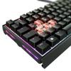 CHERRY MX 3.1 RGB Mechanical Keyboard