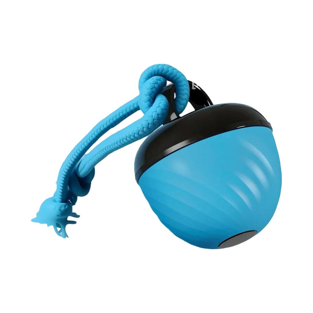 Intelligent Bites Resistant Teasing Dog Ball Grinding Sound Toy , Intelligent Rolling Ball For Electric Dogs To Relieves Boredom And Roll