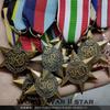 Italy Africa France Germany Atlantic Pacific Arctic European Flying Team Myanmar World War II Star Medal