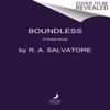 Boundless by R. A. Salvatore Paperback Book 9780063055292