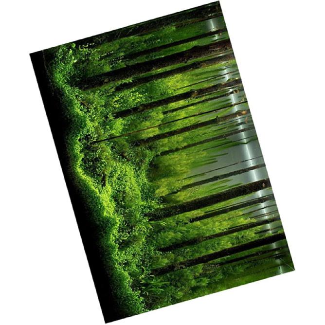 Фон для аквариума 10 галлонов Аквариумный постер Аквариумный лесной фон Картинка Фон для аквариума ПВХ Самоклеящийся Подводный лесной аквариумный постер