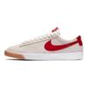 Nike Sb Blazer Low Gt Sail Cardinal Red 704939-105
