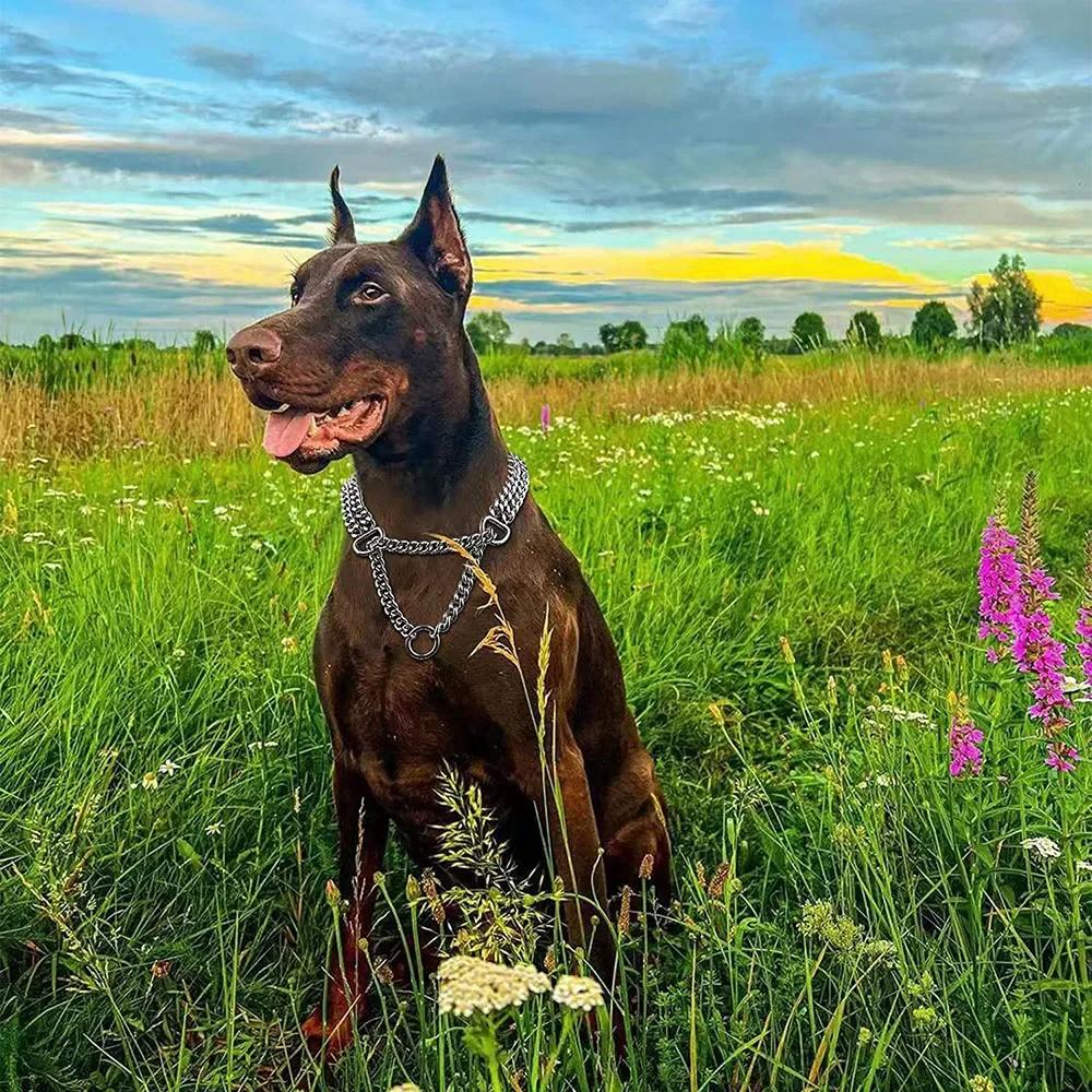 Металлический полупарфорс ошейник для собак, регулируемый ошейник из нержавеющей стали для дрессировки, двухзвенная плакированная удушающая цепь для собак