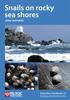 Книга Snails On Rocky Sea Shores : 30