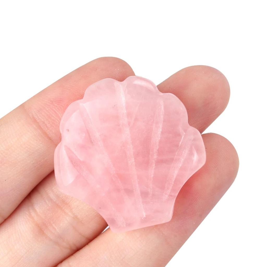 1Pcs Small Ornament Natural Stone Shell Without Hole Carved Decoration For Bedroom Desk Decoration Size 30 Mm