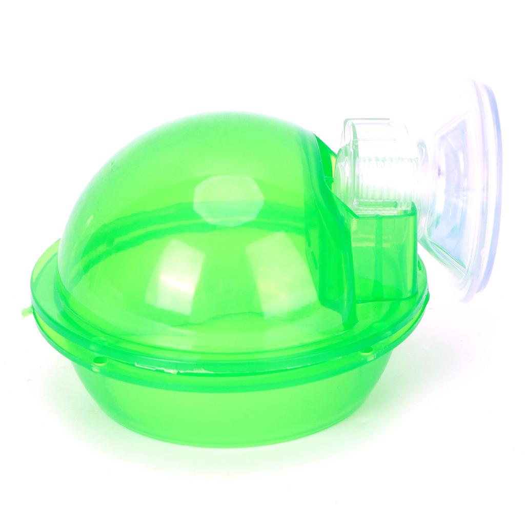Suction Cup Reptile Feeder Translucent Aquatic Nursery Basin for Amphibian Reptile Tortoise Gecko