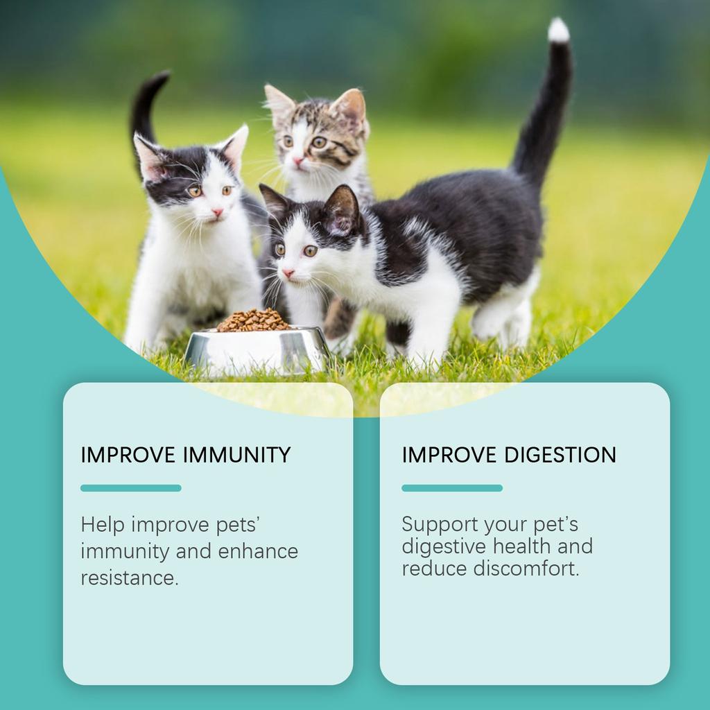 Пробиотические таблетки для кошек улучшают здоровье кишечника и способствуют пищеварению и усвоению пищевых добавок для домашних животных