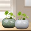 Ceramic Bowl Lotus Planter Round Mini Flowerpot Glazed Bonsai Bowl Lotus Pot for Planting Pennywort Small Hydroponic Plants